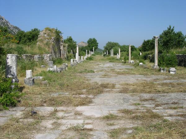 Ephesus, Arcadian Road (2)