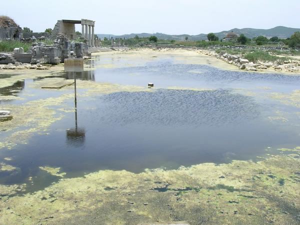 Miletus, North Agora, seen from the north