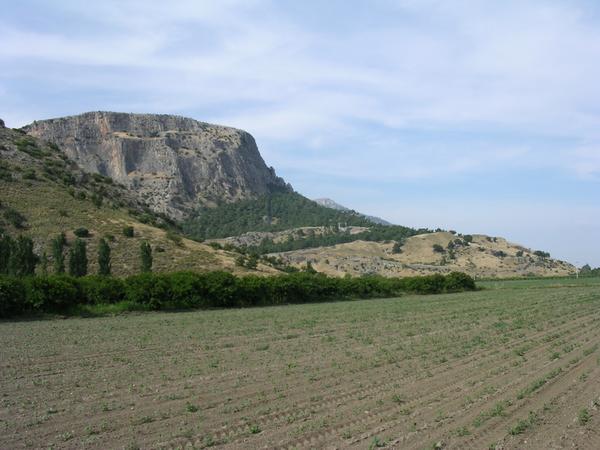 Priene, view from the west