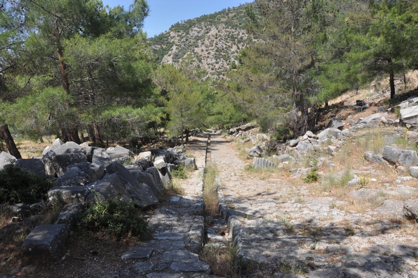 Priene, Agora road