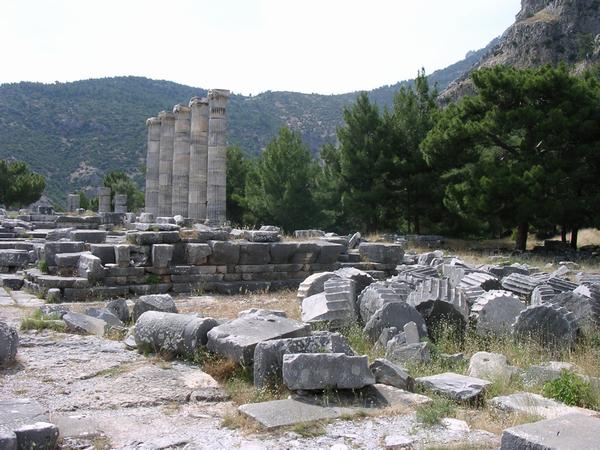 Priene, Temple of Athena Polias (1)
