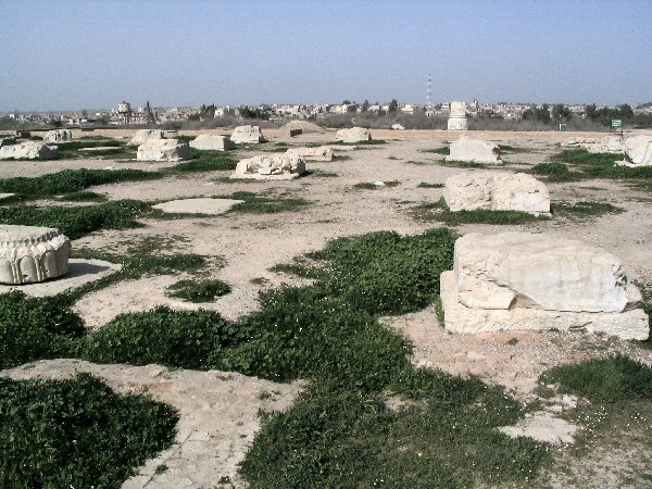 Susa, Apadana. The king's throne stood on the large square stone to the left, below.