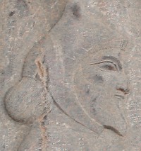A Thracian (Relief from the eastern stairs of the Apadana in Persepolis)