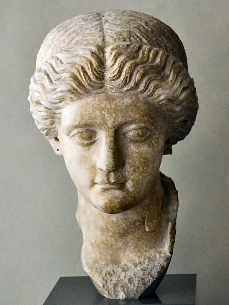 Troy IX, Julio-Claudian lady