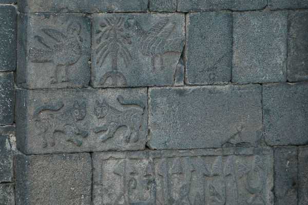 Amida, Harput Gate, Medieval relief with birds, trees, and felines