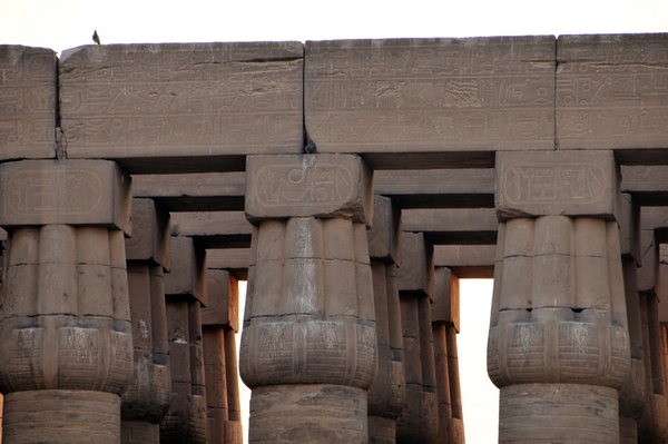 Luxor, Temple, Capitals of columns