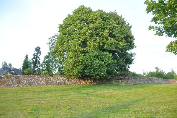 Tongeren, Roman wall, Cottaweg