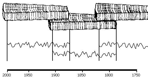 Dendrochronology