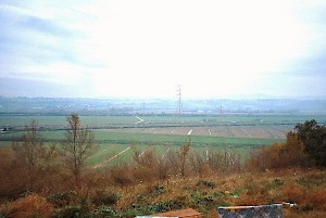 The southern part of the battlefield of the Allia, seen from the southeast. In the background the river Tiber.