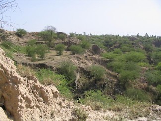 Landscapel along the Grand Trunk Road, east of Islamabad