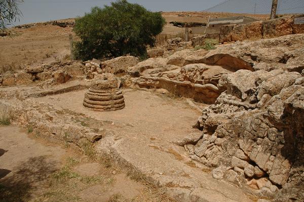 Slonta, Overview