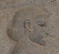 An Arab. Relief from the East Stairs of the Apadana, Persepolis