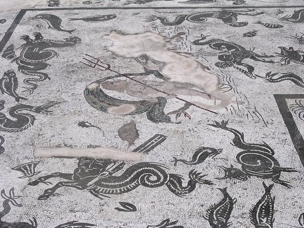 Italica, House of the Neptune Mosaic, Aquatic animals