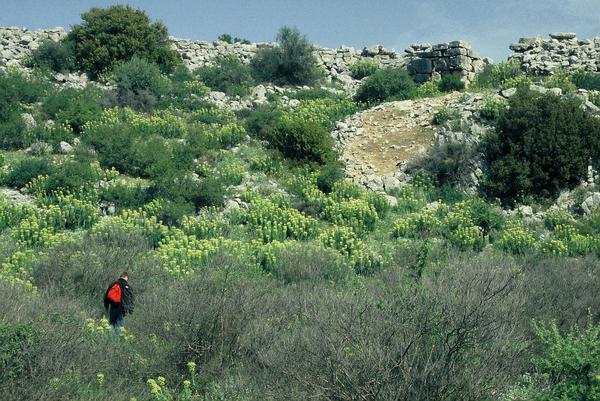 Gla, Mycenean walls