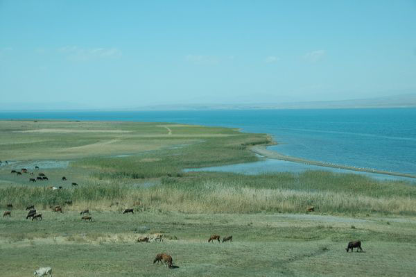 Lake van from the northeast