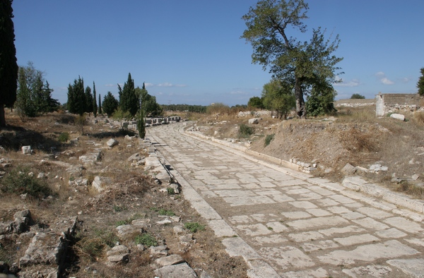 Didyma, Sacred road