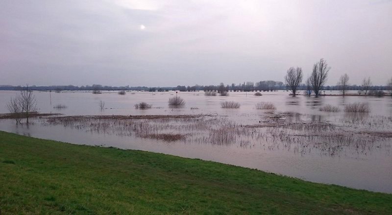 IJssel near Zutphen