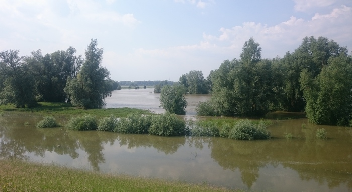 Waal near Druten