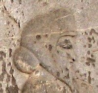 A Sogdian