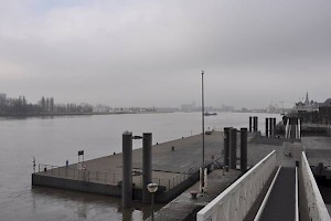 The Scheldt near Antwerp