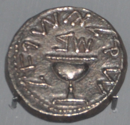 Masada, Rebel coinage