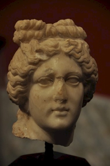 Head of Venus