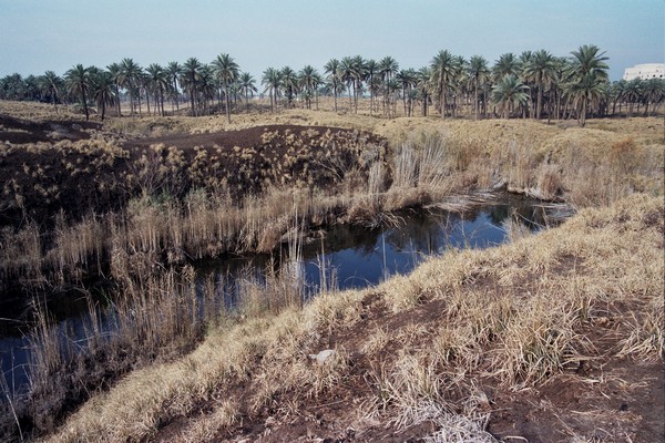 Babylon, Ruin of the Etemenanki: foundations in a wetland