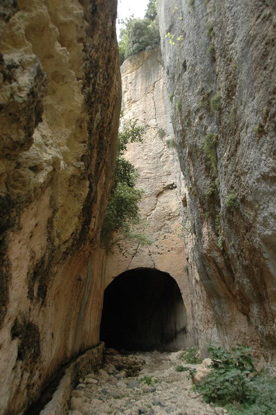 Seleucia in Pieria, Tunnel, Exit (2)