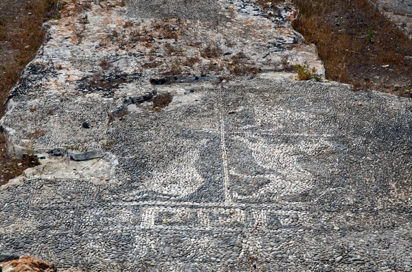 Motya, House of the Mosaics, mosaic (3)