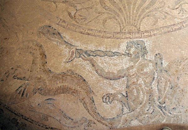Villa Selene, Baths, Room 43, mosaic (2)