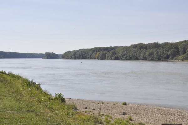 The Danube near Carnuntum