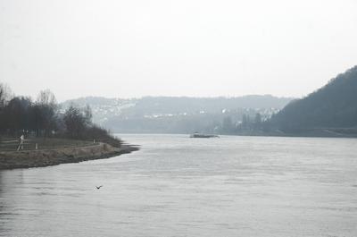 Rhine, near Koblenz