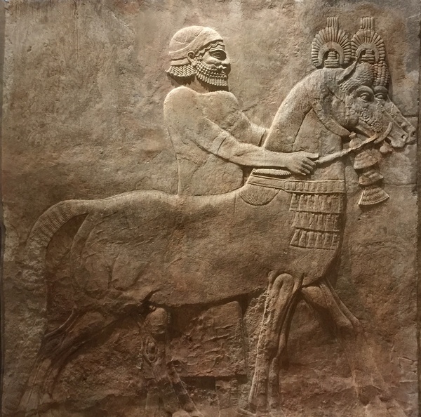 Khorsabad, Relief of a horse