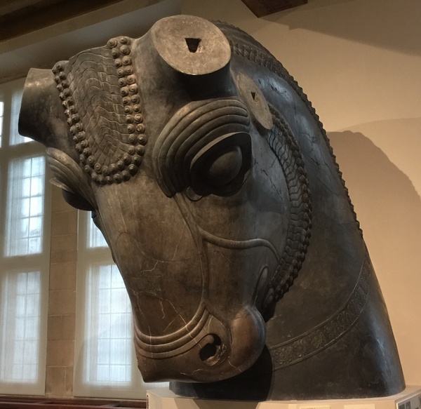 Persepolis, Hall of 100 Columns, Bull-shaped capital