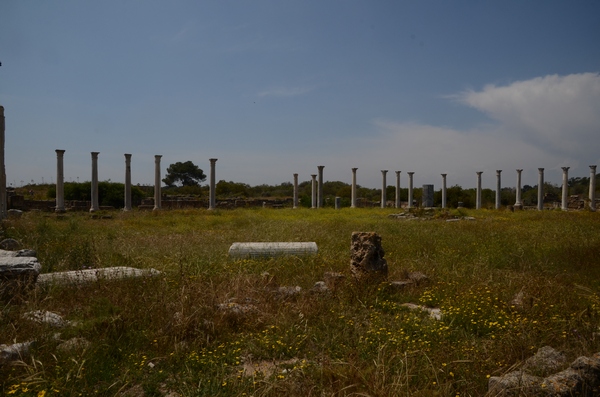 Salamis, Gymnasium, Palaestra