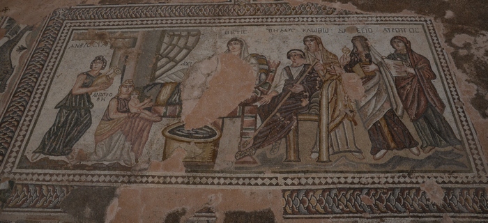 New Paphos, House of Theseus, Achilles Mosaic