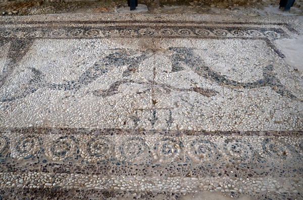 New Paphos, Acropolis, Hellenistic mosaic of two dolphins