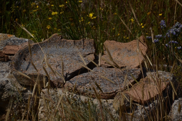 Enkomi, Remains of bathtub (?)