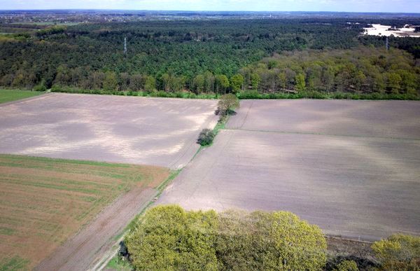 Wekerom, Celtic Field