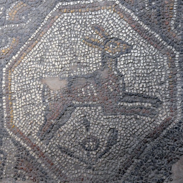 Stara Zagora, Mosaic of a hare
