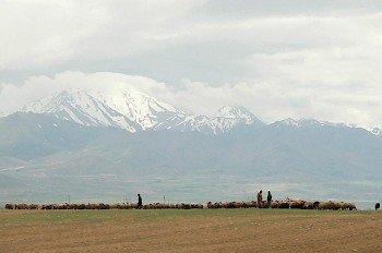 The Nesaean Plain, surrounding Ecbatana (modern Hamadan)