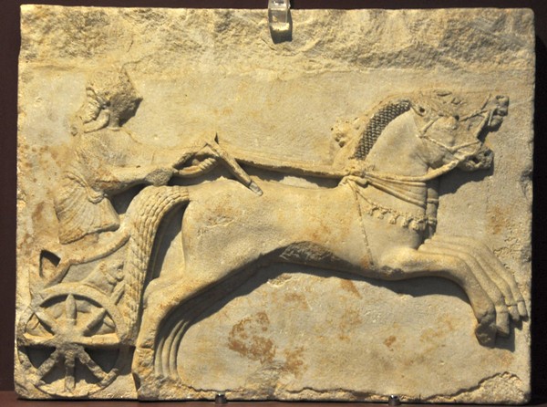 Cyzicus, Charioteer