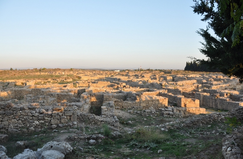 Ugarit, Royal Palace, General view