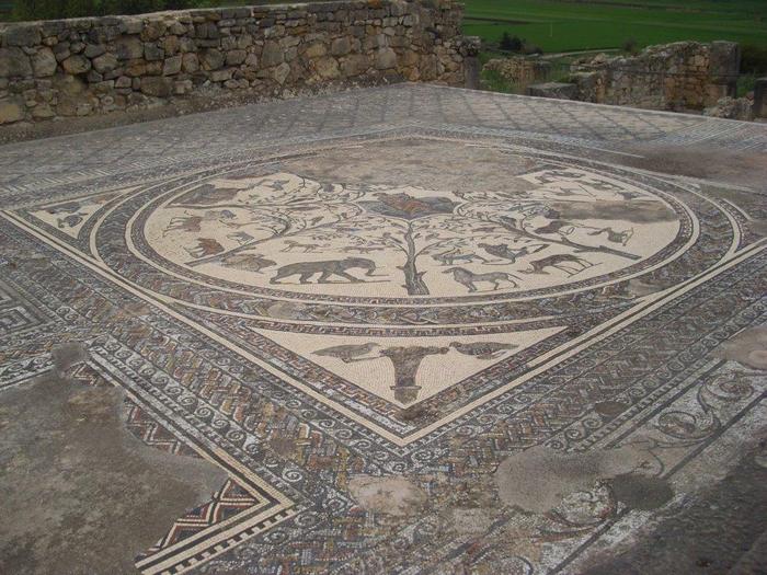 Volubilis, Mosaic