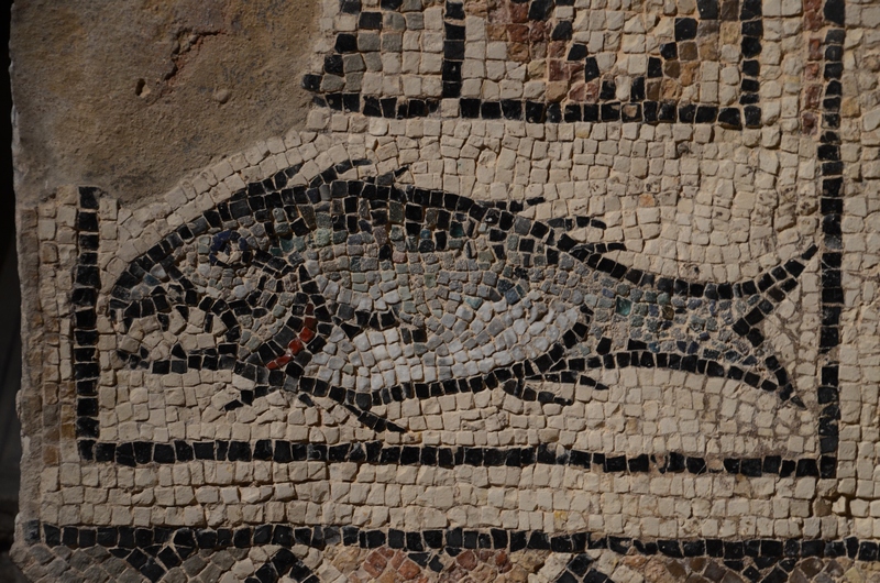 Poreč, First Basilica, Mosaic