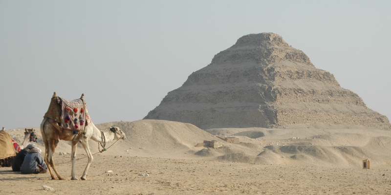 Saqqara, Pyramid of Djoser with dromedary