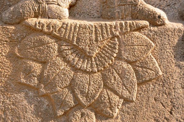 Taq-e Bostan, Investiture relief of Shapur II, detail: flower