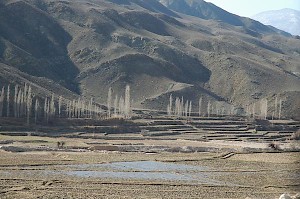 Terraces on the northern slopes of the Elburz Mountains