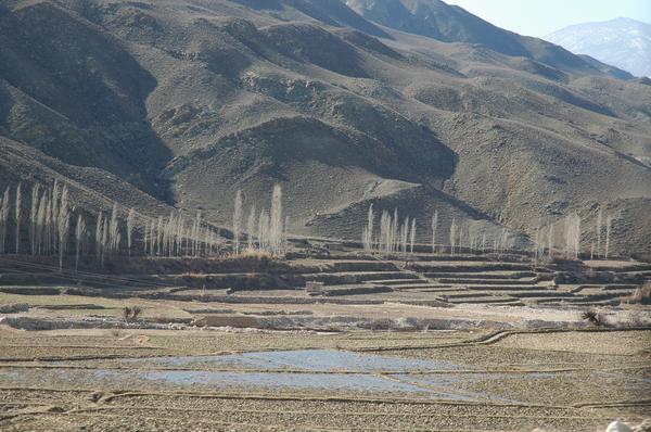 Hyrcania, Terraces