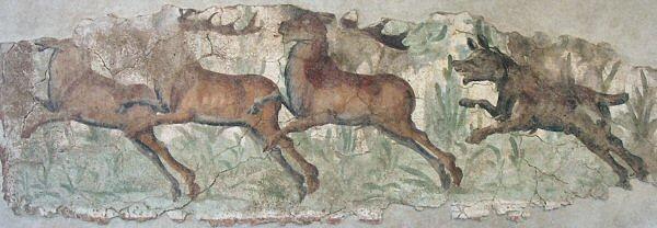 Tarraco, Wall painting with a hunting scene